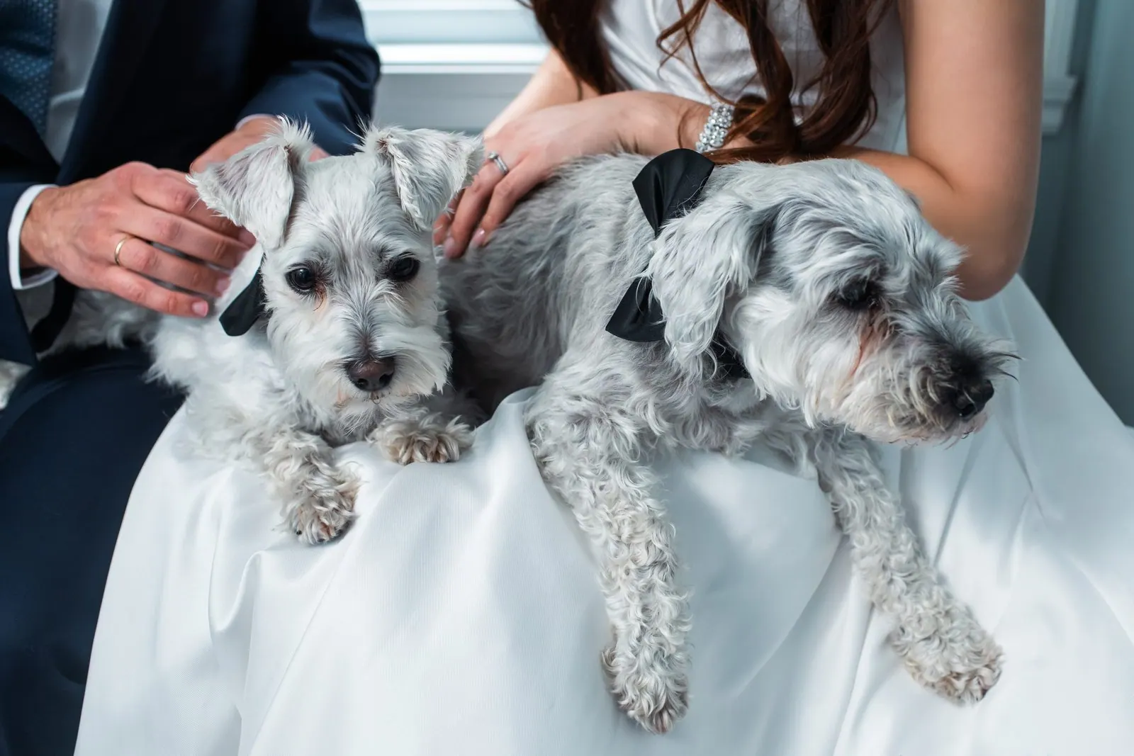 Kelly & Chris wedding — photographed by Keyris Rodriguez (7)