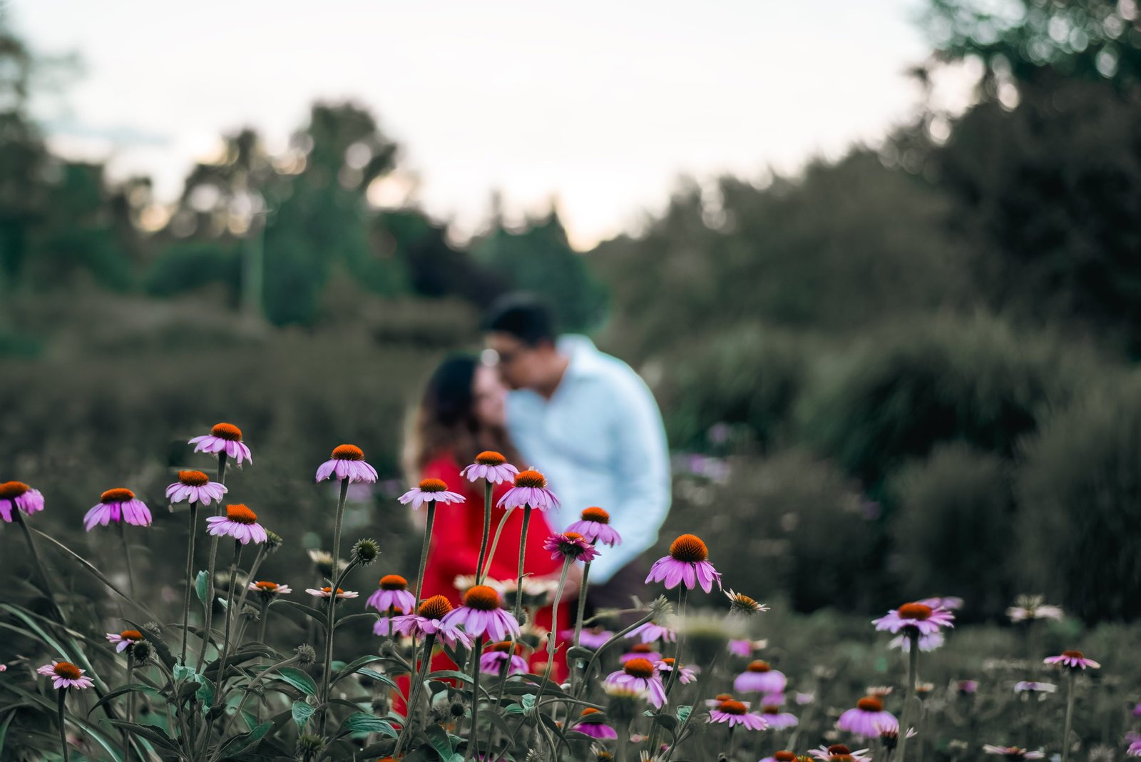 Portrait Photography — photographed by Keyris Rodriguez in Montreal and Ottawa